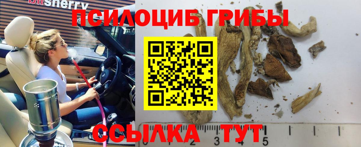 Галлюциногенные грибы Magic Shrooms Джанкой